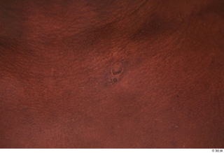 Kato Abimbo scar skin 0001.jpg